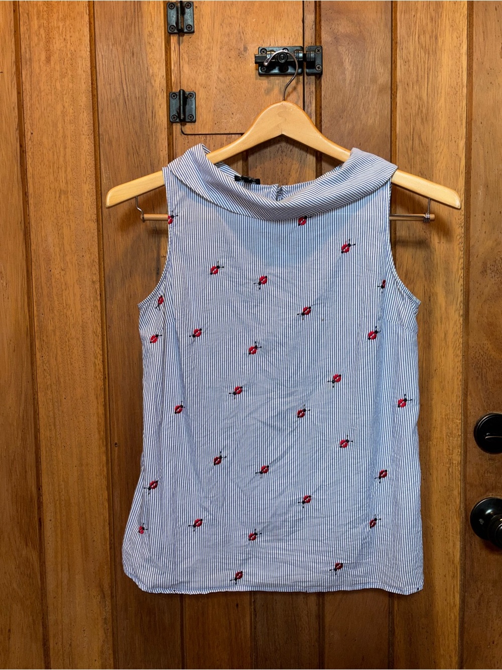 Talbots Ladybug 🐞 Portrait Collar Sleeveless Blue Stripe Top